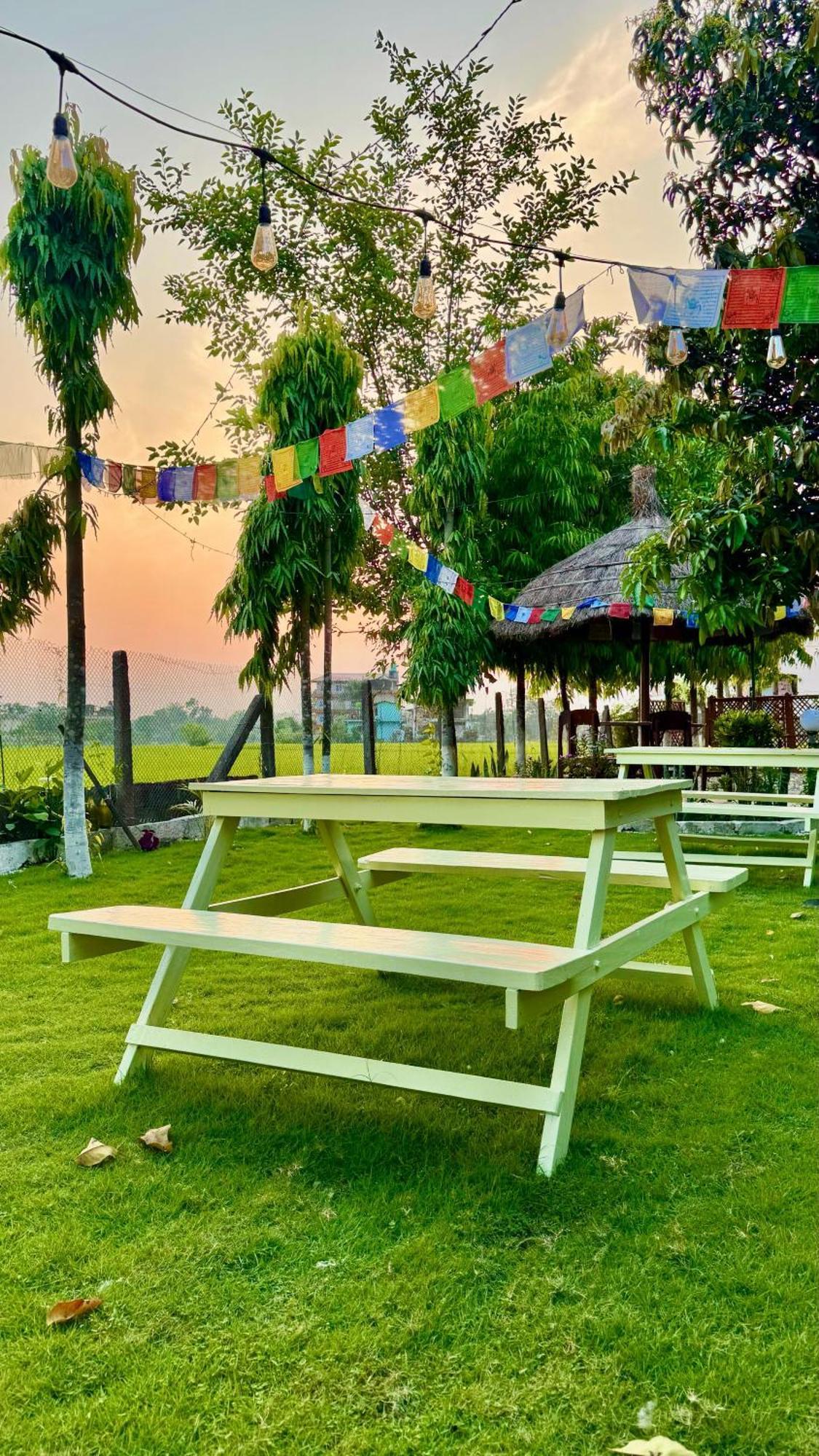 Hotel Tree Tops- A Serene Friendly Hotel In Sauraha Chitwan Bagian luar foto